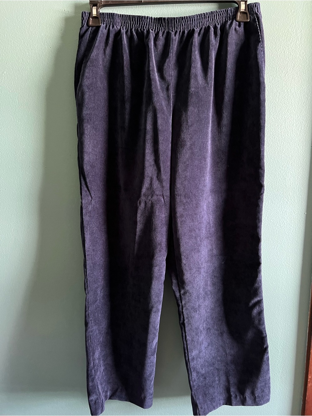 Alfred Dunner Navy Blue Colored Ribbed Classic Pants Size 12